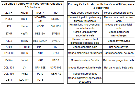 Cell Lines NucView 488