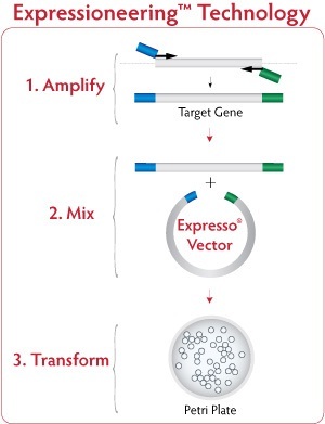 Expressioneering Technology