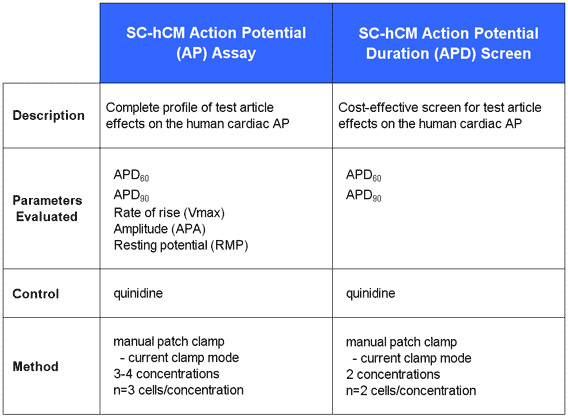SC-hCM APD Assays
