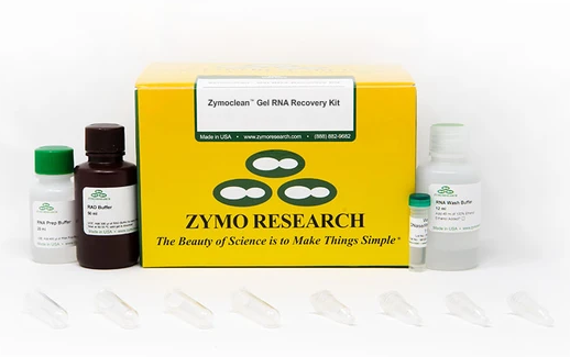 Zymoclean Gel RNA Recovery Kit