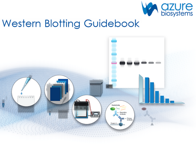 Download: Western blotting guidebook