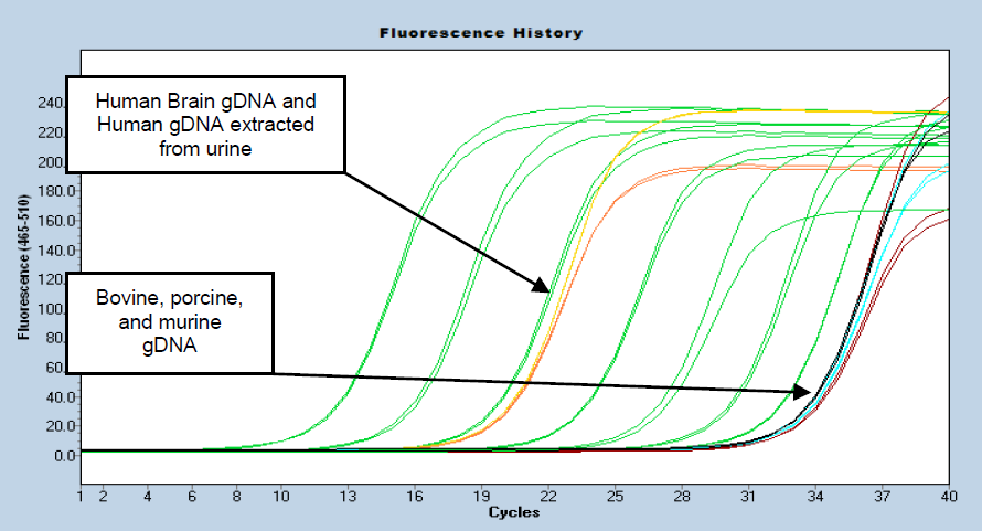 The Femto DNA Quantification Kits detect & quantify DNA with high specificity