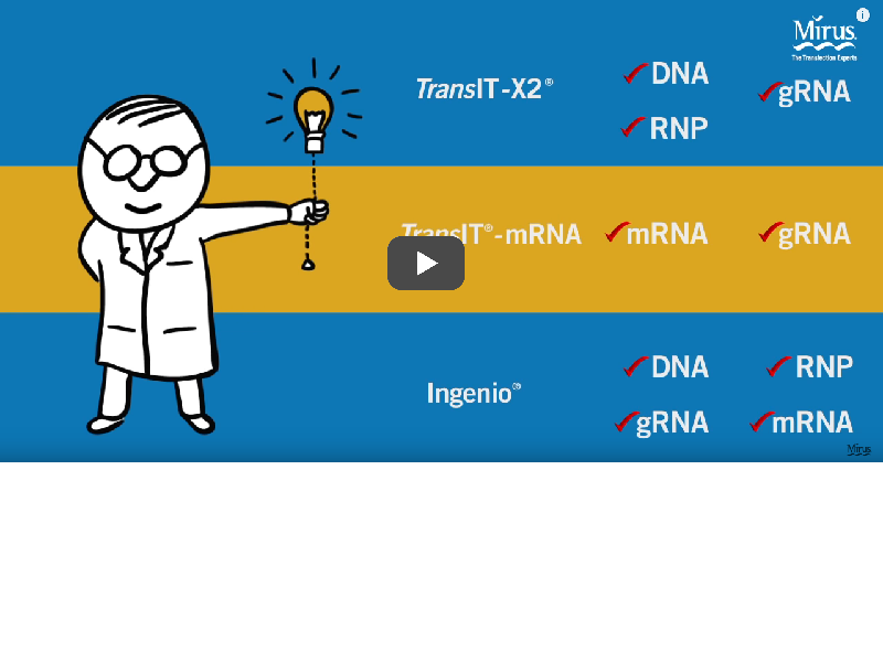 Video: CRISPR/Cas9 transfection reagents