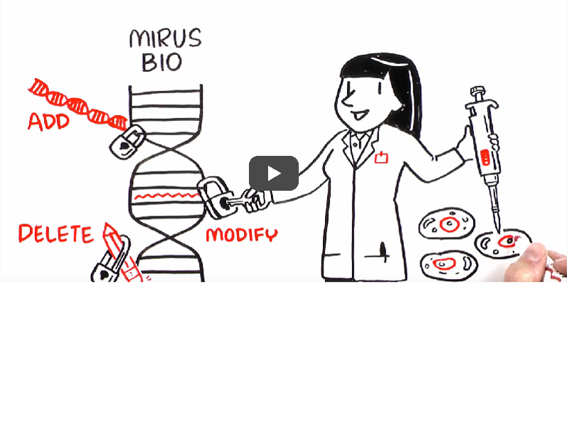 Video: Simplicity of virus-mediated gene delivery