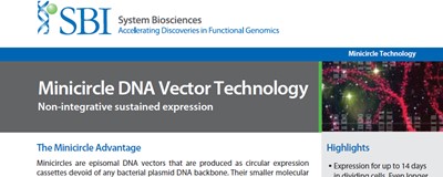 Download: SBI minicirl DNA vector technology