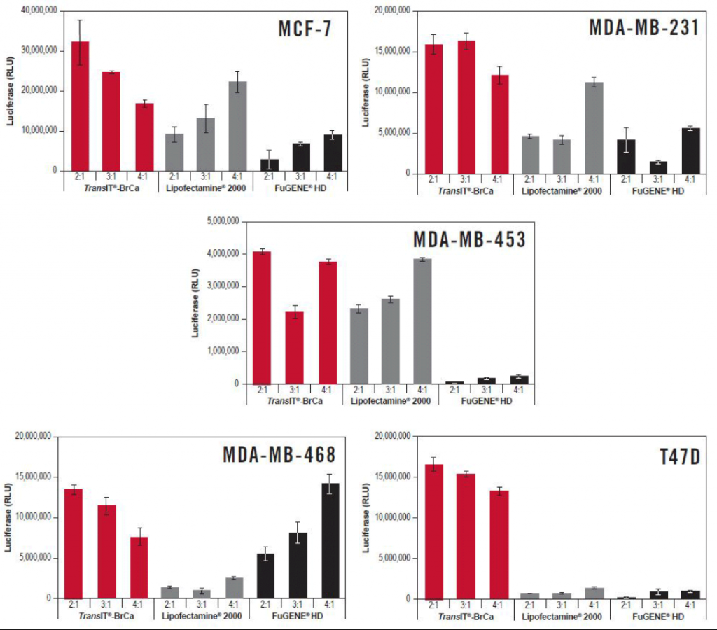 TransIT®-BrCa Transfection Reagent Exhibits Higher Luciferase Expression in Breast Cancer Cells Compared to Other Transfection Reagents