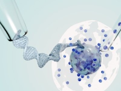 ZymoBIOMICS™ DNA extraction kits
