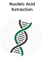 Nucleic Acid Extraction