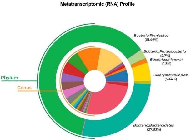 reference data