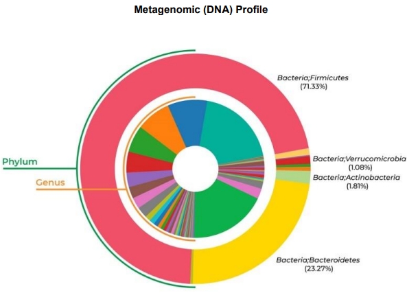 reference data