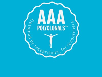 Highly characterised polyclonal antibodies: Triple A Polyclonals