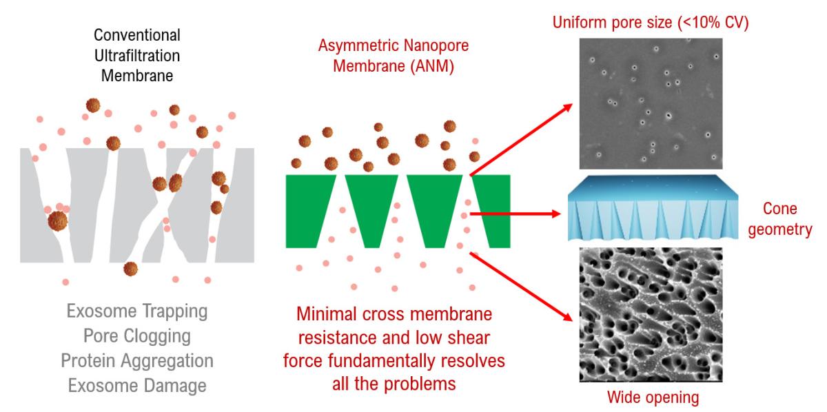 anm technology