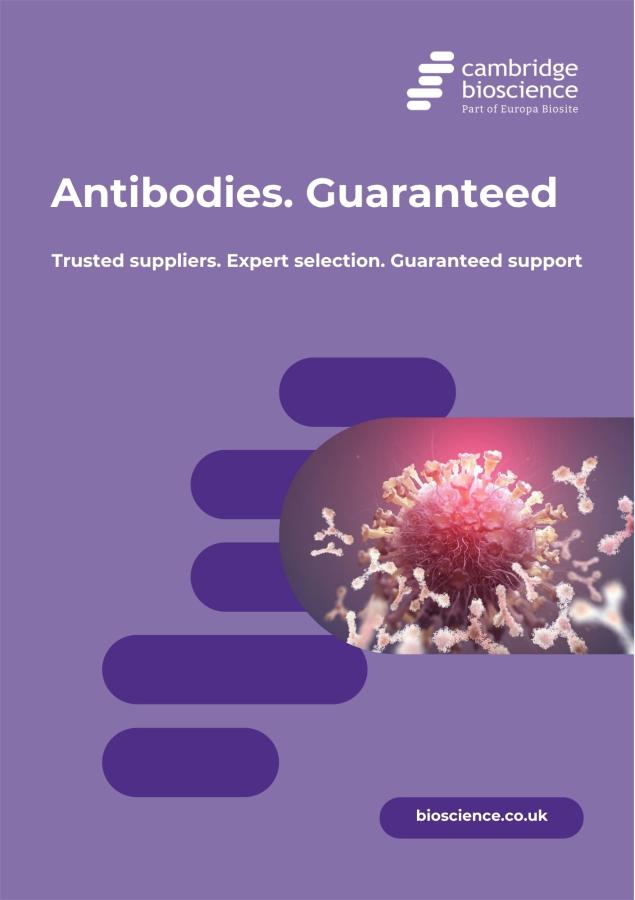 Antibody promise flyer