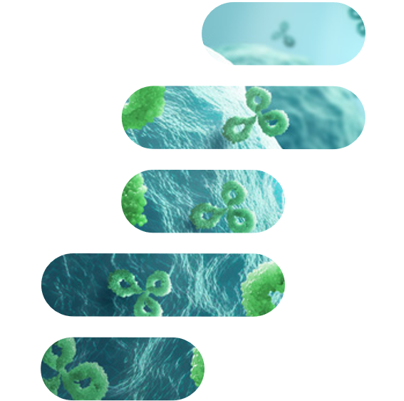 BioXCell