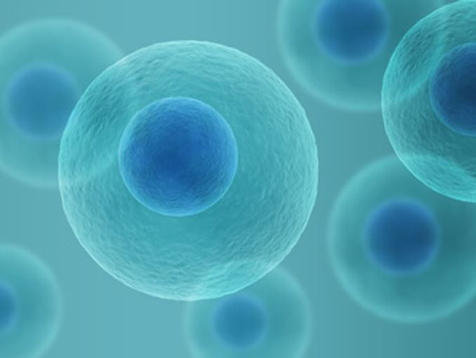 Validate your lead candidate with confidence using BPS cell lines