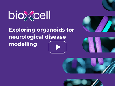 Exploring organoids for neurological disease modelling with Bio X Cell
