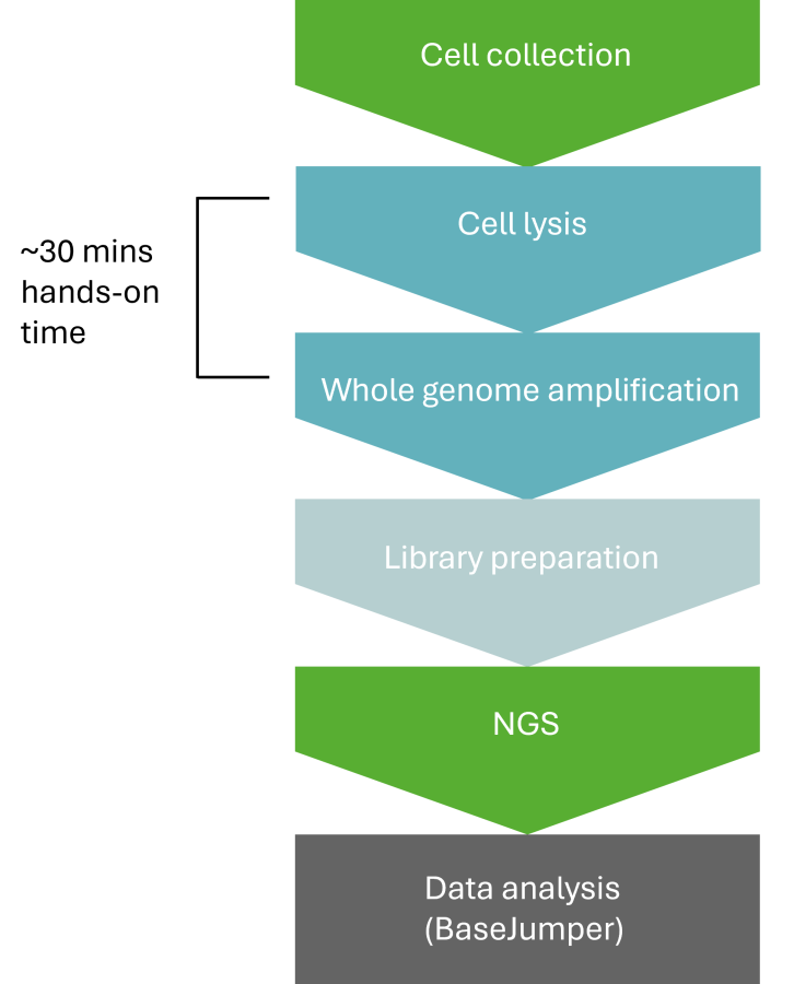 resolveDNA workflow