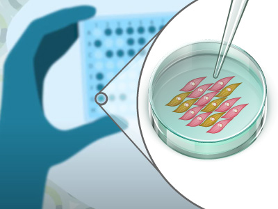 Advanced cell lines for drug discovery from BPS Bioscience