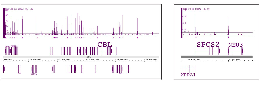 Enriched ChIP DNA obtained from the ChIP-IT HS kit is of high quality and ChIP-Seq validated