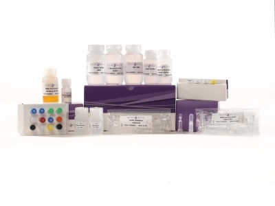 High sensitivity chromatin preparation kit from Active Motif