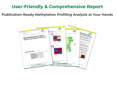 Comprehensive analysis reports for epigenetic sequencing