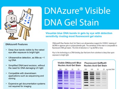 Download the DNAzure® Visible DNA Gel Stain brochure