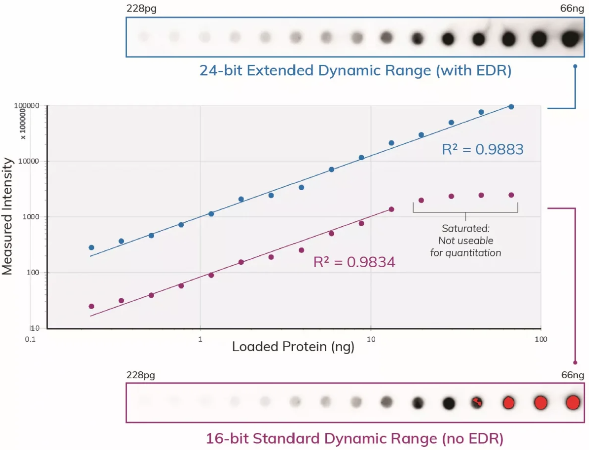 EDR Graph Comparison