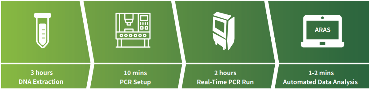 ESR-1 workflow