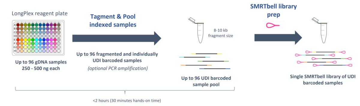 longplex workflow