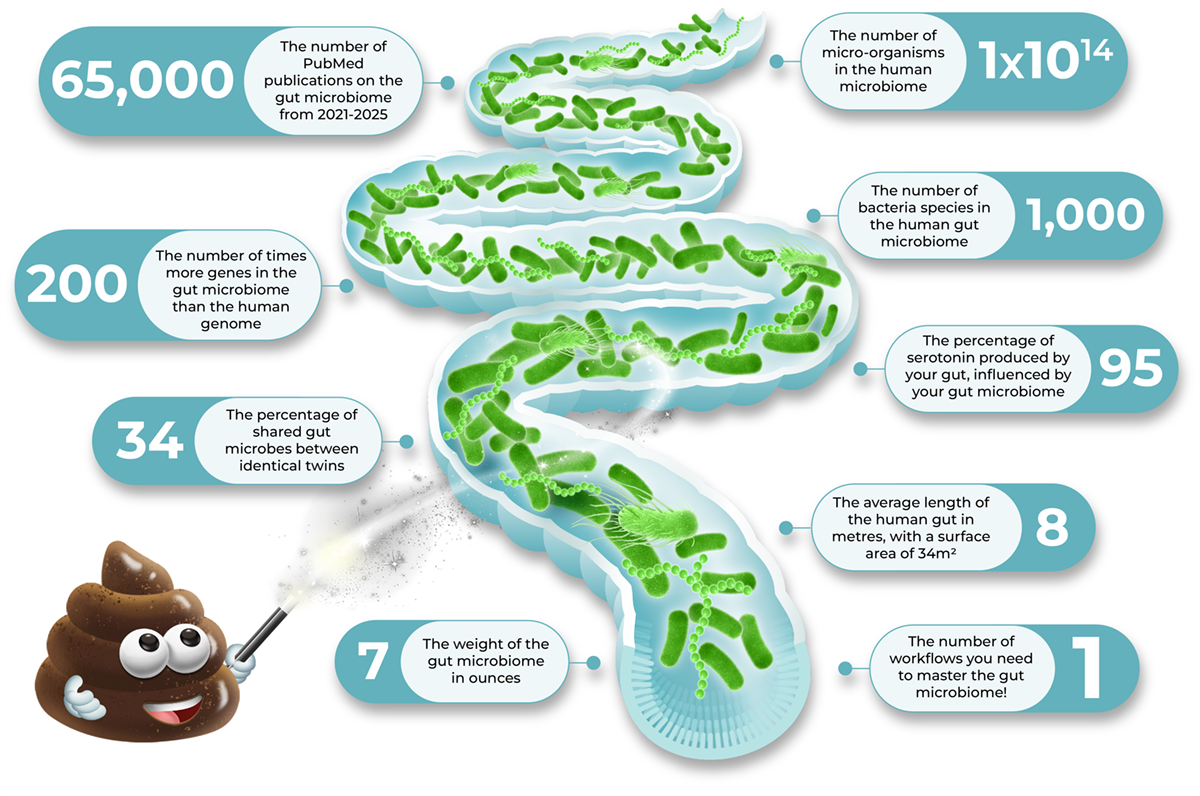 infographic