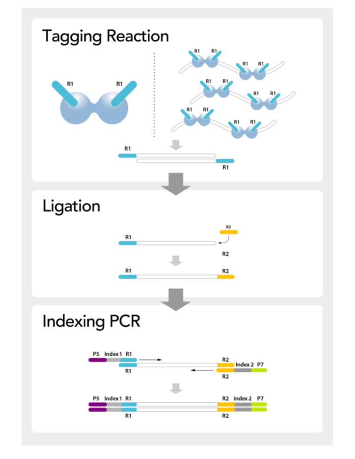 mosaix workflow