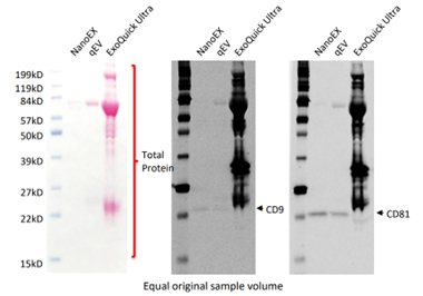 specificity and purity