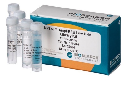 Low-input DNA library preparation with LGC