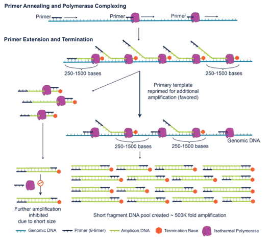 PTA schematic