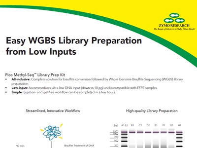 Bisulphite conversion and WGBS library prep