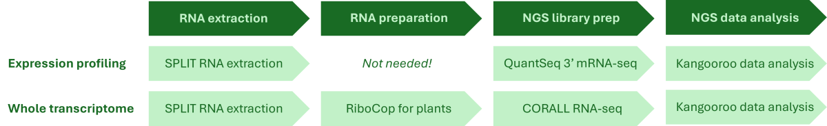 plant workflows