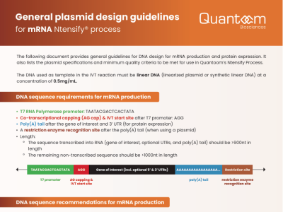 General plasmid design guidelines