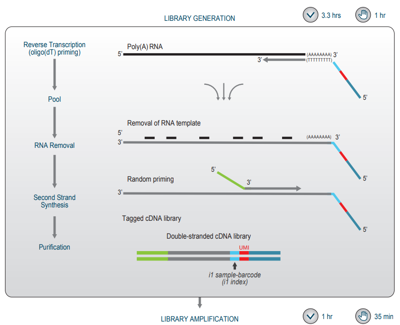 quantseq pool workflow