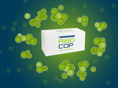 rRNA depletion & sequencing: CORALL x Ribocop