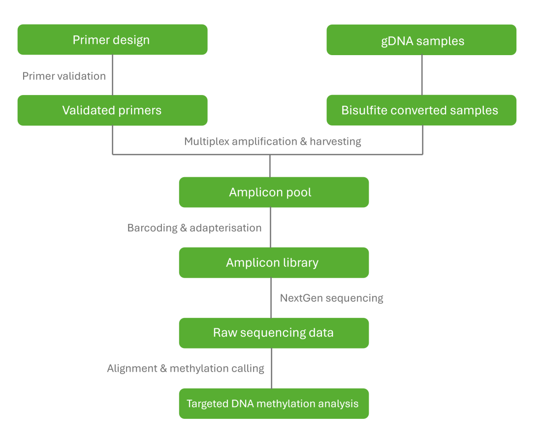 TBS workflow