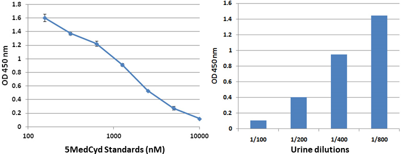 5MedCyd ELISA standard curve (left) and 5MedCyd levels in various dilutions of human urine (right).