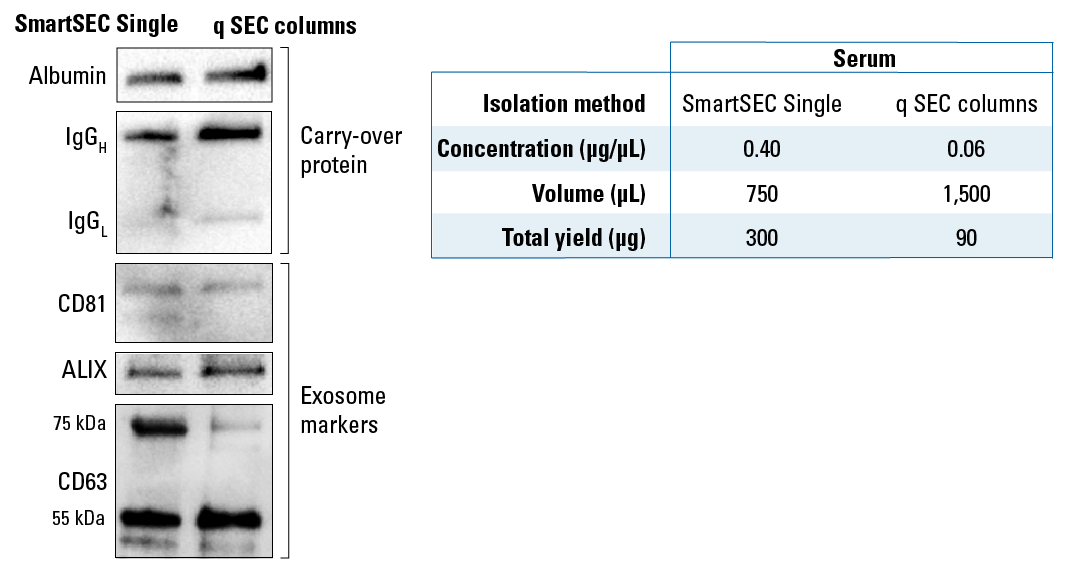 SmartSEC Single WB analysis