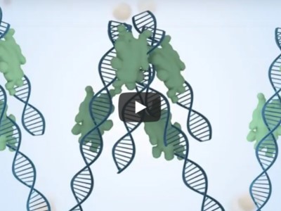 Universal Sequencing synthetic long-read DNA library prep technology