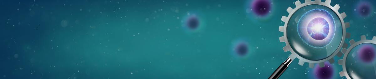 Custom services for drug discovery