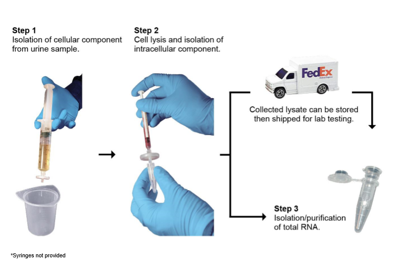 ZR Urine RNA Isolation Kit process