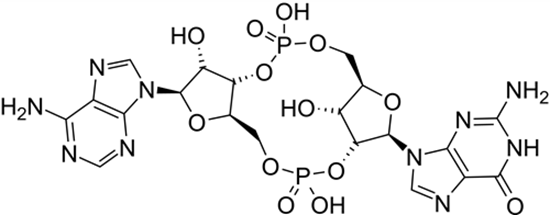 aat bioquest cGAMP structure