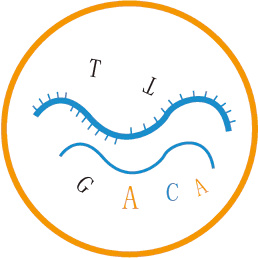 Linear RNA