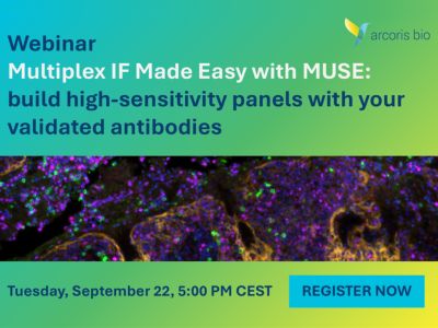 webinar
