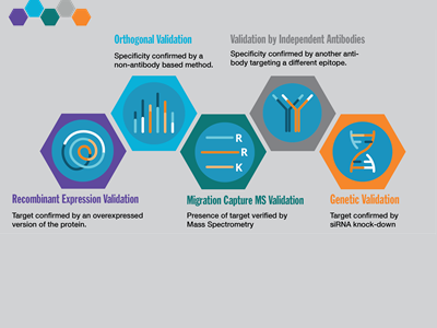 Learn more about Atlas Enhanced Validation