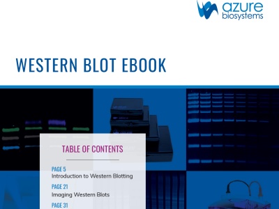 Download: Western blotting guidebook